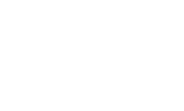 Carnegie-Stout-Public